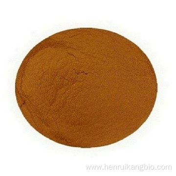 Factory price Ginkgo biloba L. active ingredient powder